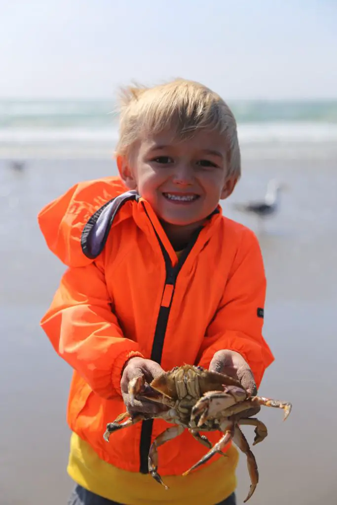 oregon coast holding a crab