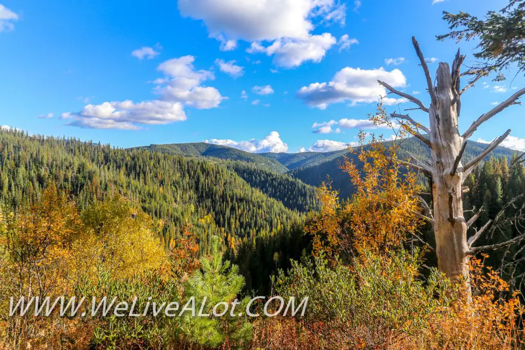 Coeur d' Alene National Forest Road