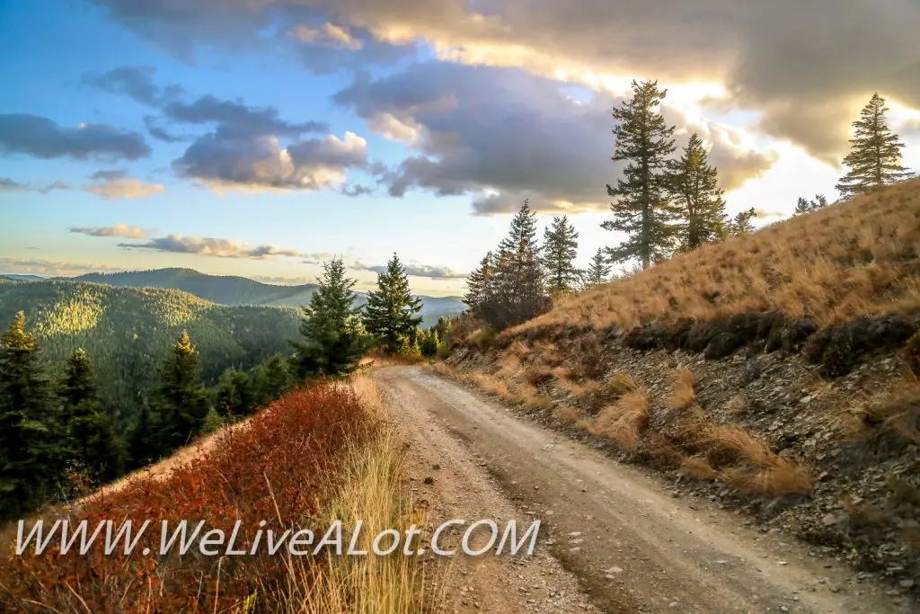 Coeur d'Alene National Forest