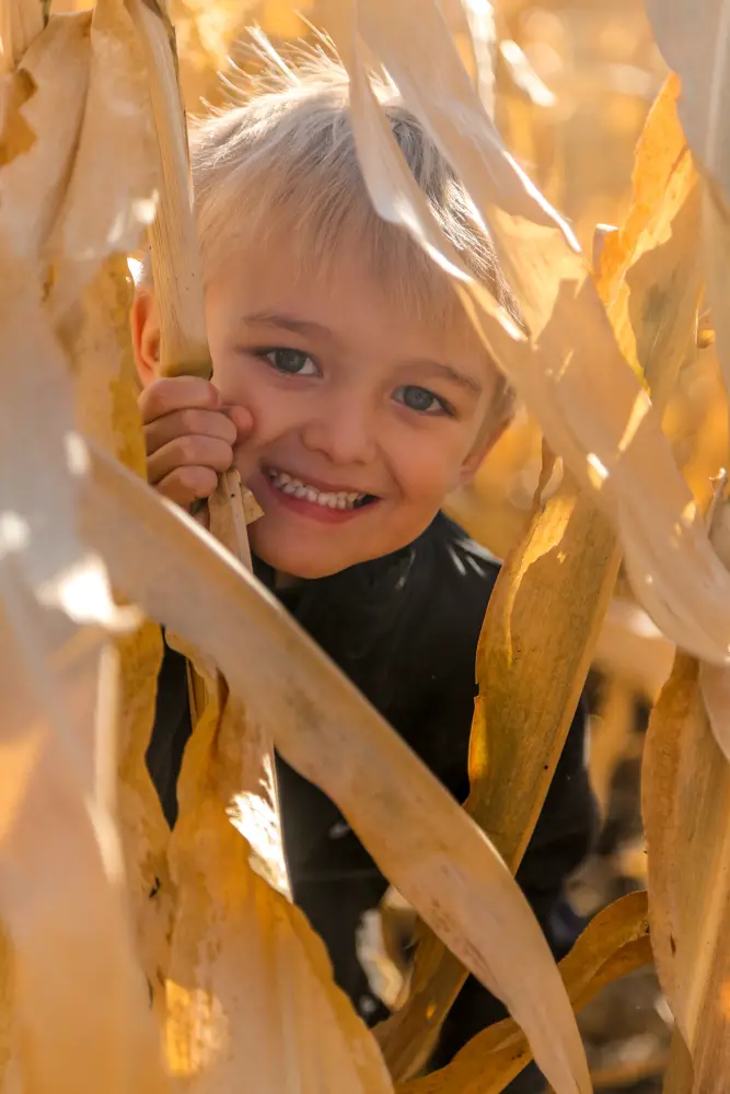 carvers farm pumpkin patch washington