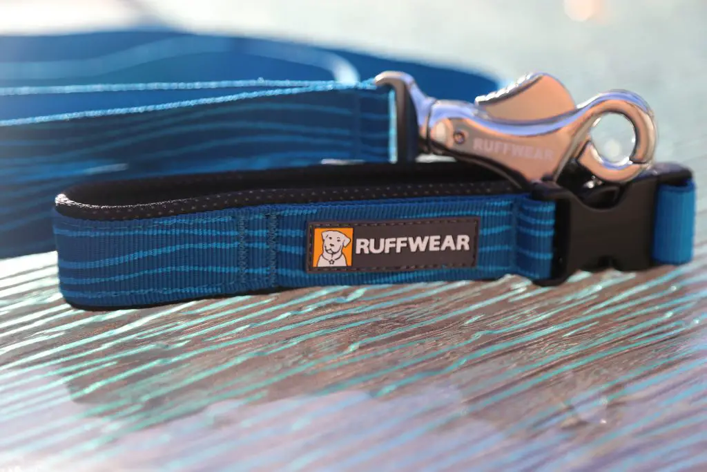 best running dog leash