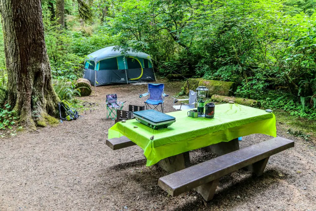 The Coleman Tenaya Lake 8 Person Tent Set up at our camp spot at Mora Campground. 