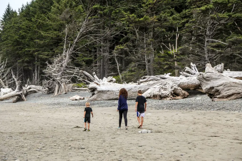 Rialto Beach Hike