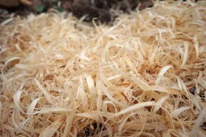 wood shavings to help start a fire