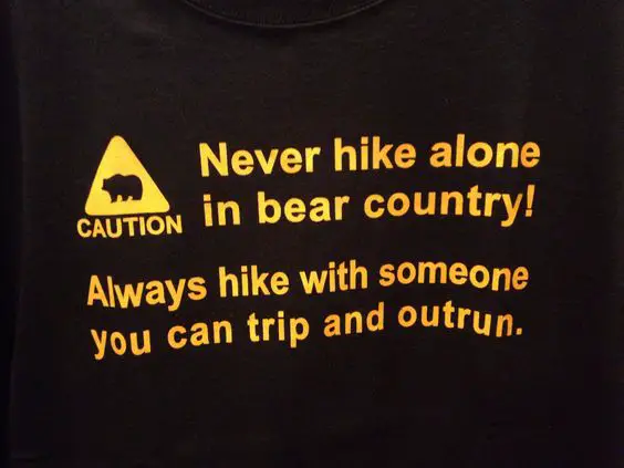 camping meme with a bear