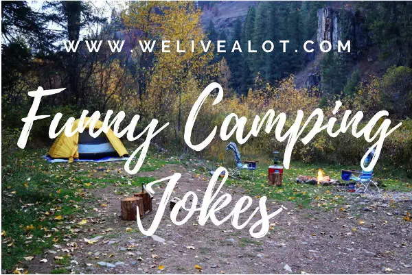 funny camping jokes for adults & kids