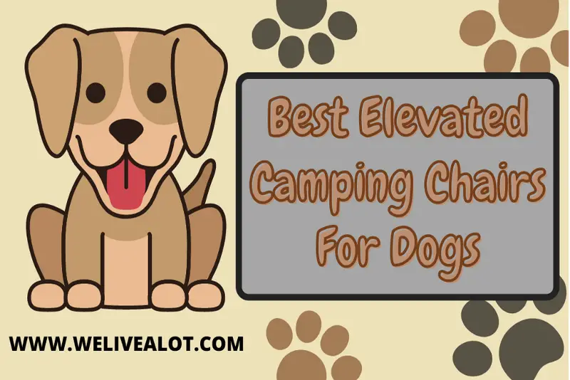 best elevated camping chairs for dogs